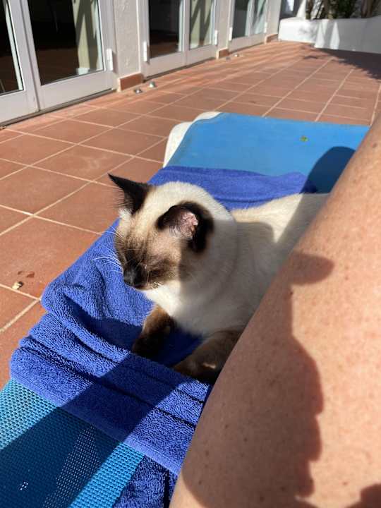 Außenansicht ROBINSON ESQUINZO PLAYA