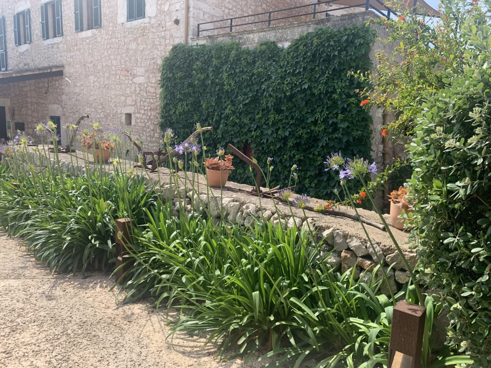 Gartenanlage Hotel Son Trobat Wellness & Spa