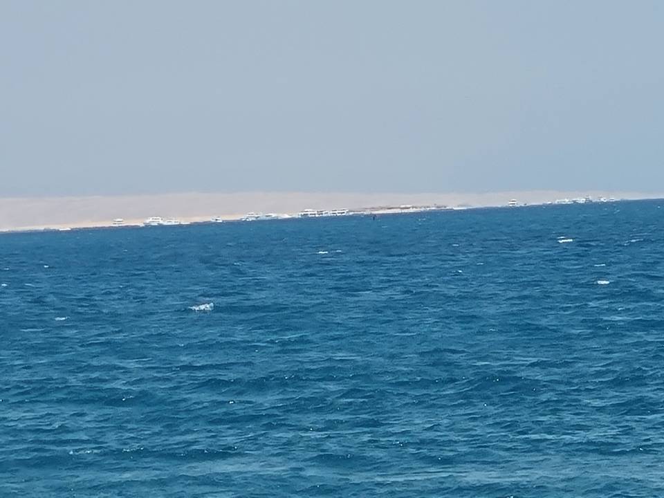 Strand Pickalbatros Palace Resort