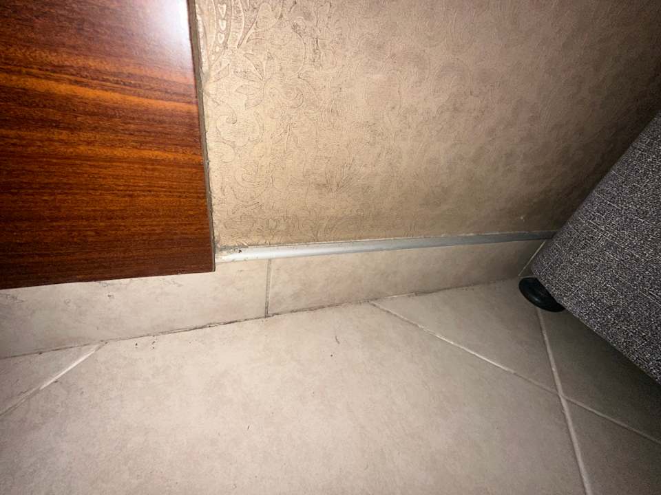 Zimmer Kamelya Aishen Club