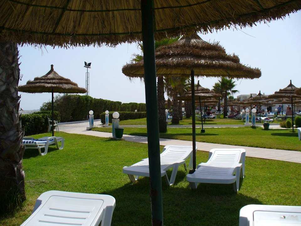 Schirme im Garten Hotel Amir Palace