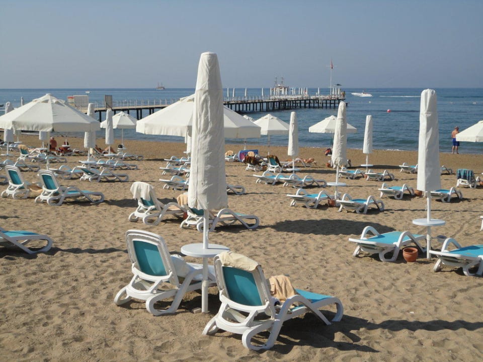 Sentido PALOMA Perissia