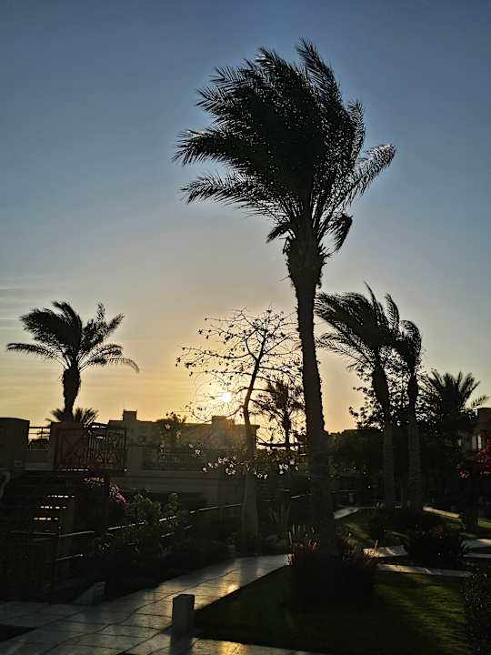 Gartenanlage Shams Prestige Abu Soma-Adults Only