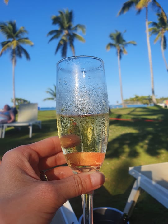 Gastro Wyndham Alltra Samana