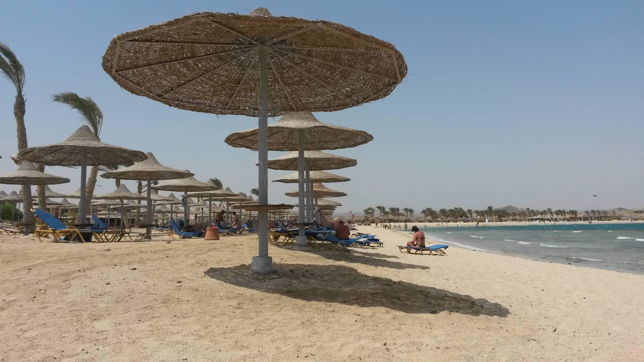 Schimmelige Auflagen Malikia Resort Abu Dabbab