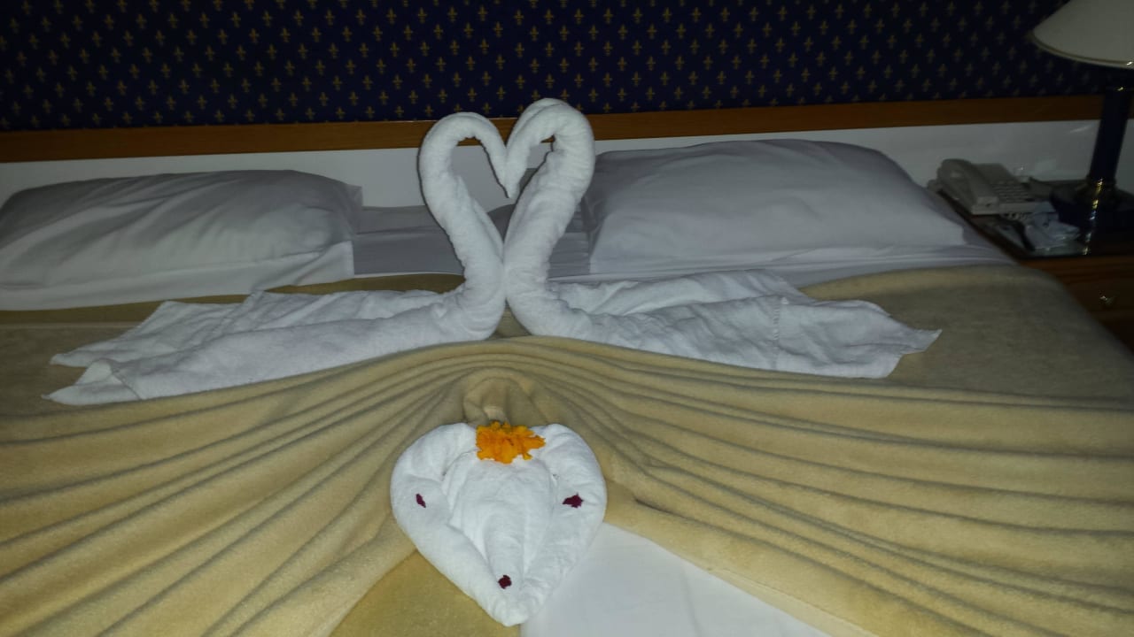 Schöne Grüße Desert Rose