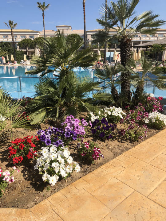 Pool Valentin Sancti Petri