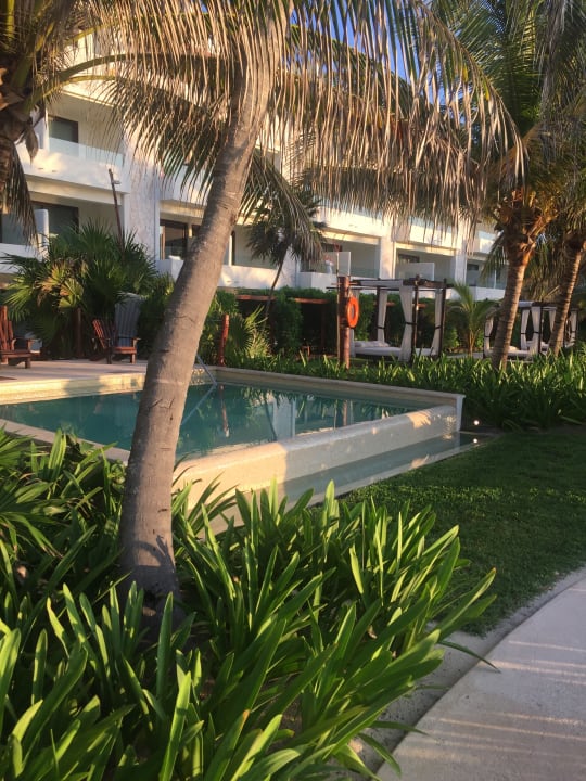 Pool Akumal Bay Beach & Wellness Resort