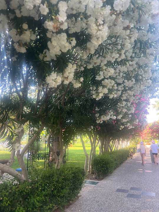 Gartenanlage VONRESORT Golden Beach