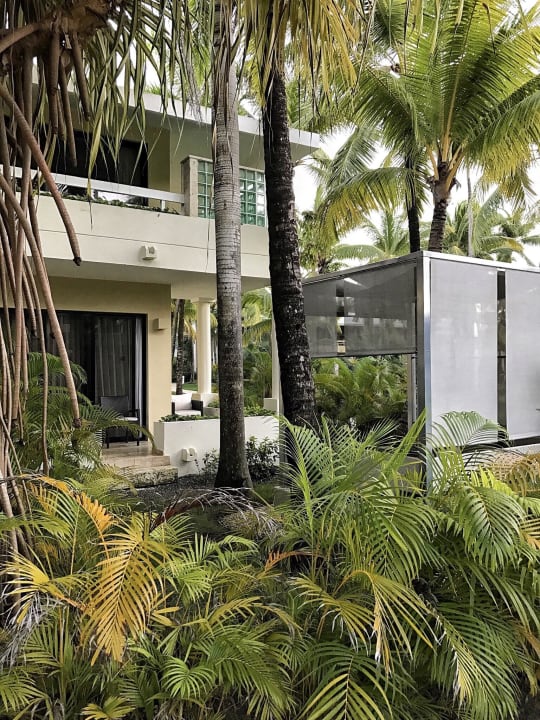 Sonnenbetten zum Zimmer Paradisus Punta Cana Resort (Im Umbau/Renovierung)