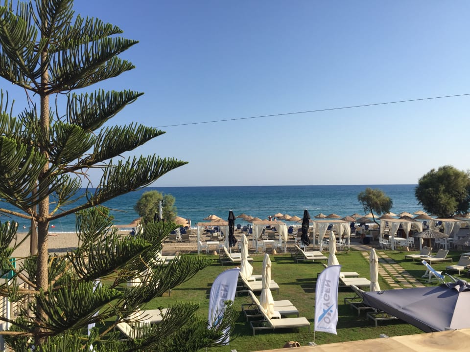 Zimmer Enorme Teatro Beach Resort