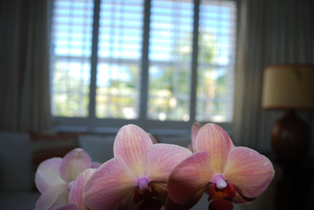 Suite 203 mit Meerblick The Betsy - South Beach