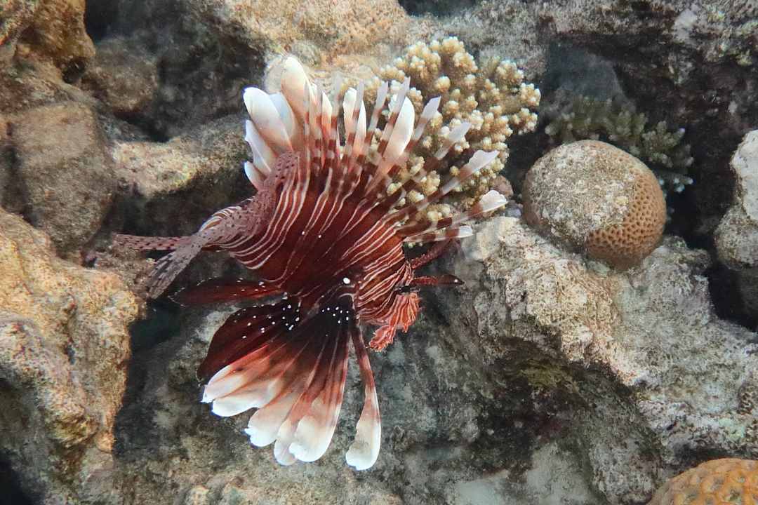 Strand Sunny Days El Palacio Resort & Spa