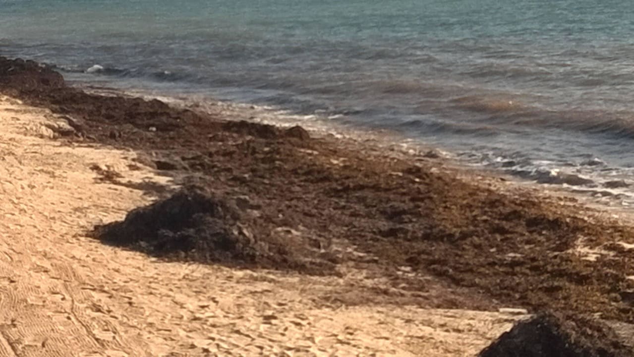 Strand im Bereich vor dem Preferred Club  Dreams Tulum Resort & Spa