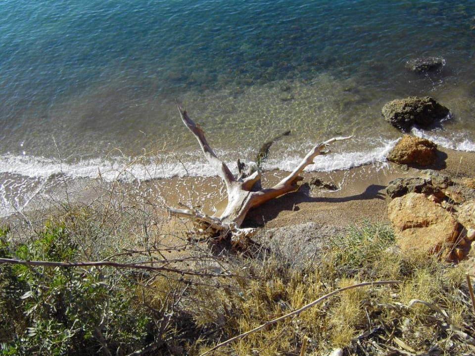 Hotelstrand The St. Regis Mardavall Mallorca Resort