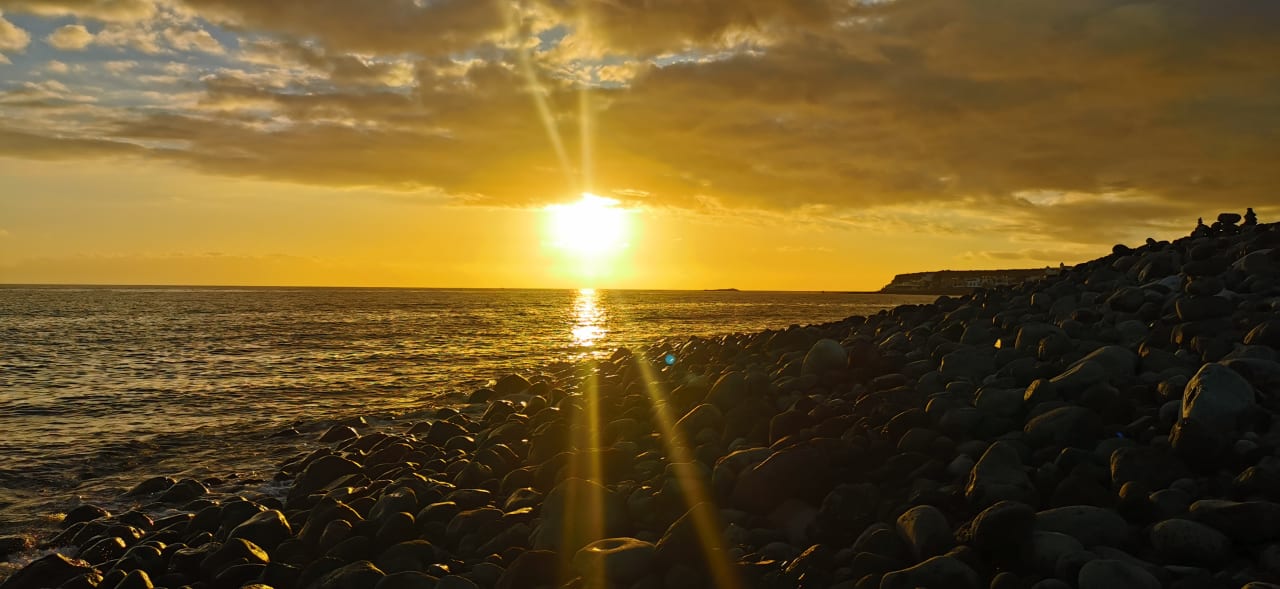 Ausblick Hotel Riu Palace Tenerife