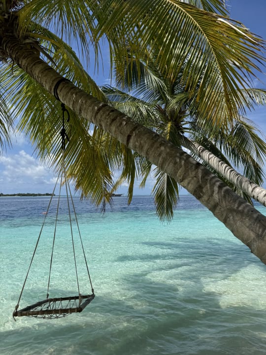 Außenansicht Vilamendhoo Island Resort & Spa