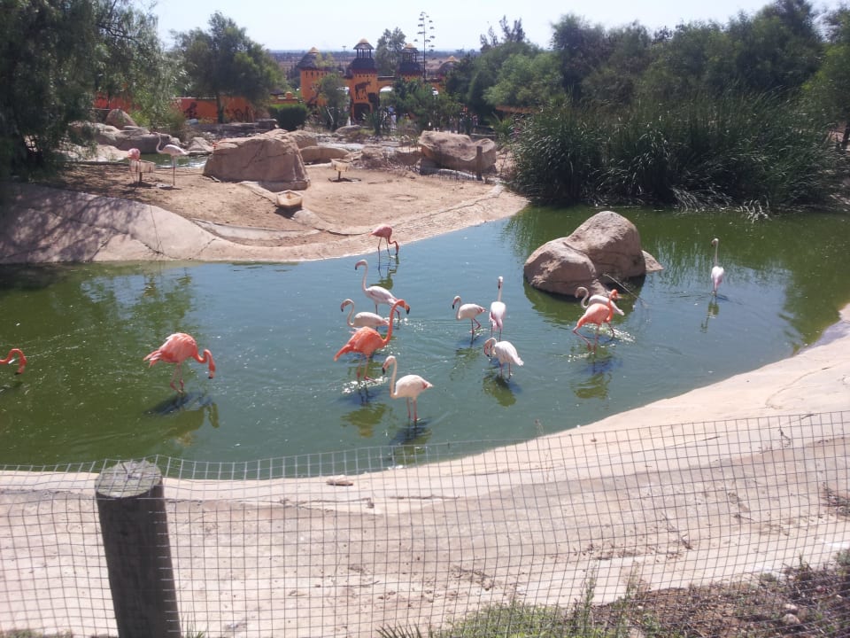 Tierpark Medina Solaria & Thalasso