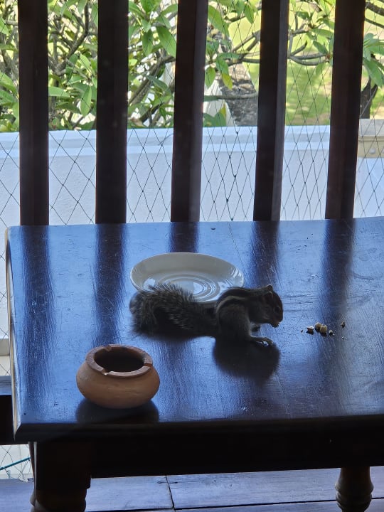 Sonstiges Goldi Sands Hotel