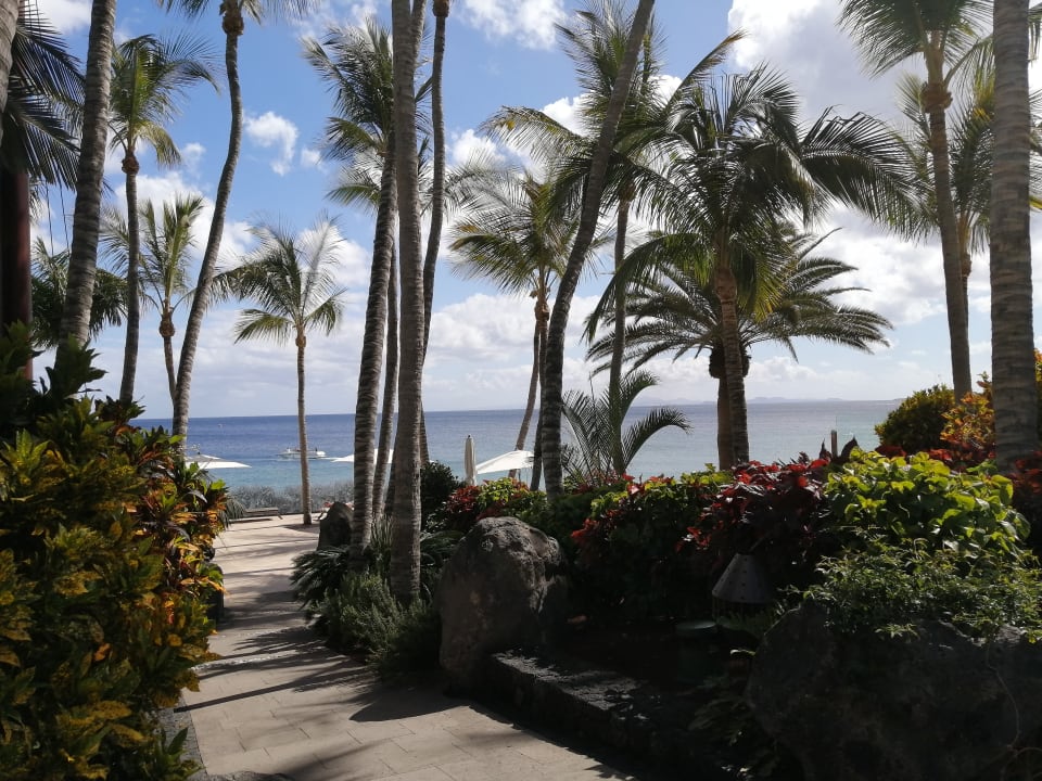 Gartenanlage Hotel Fariones