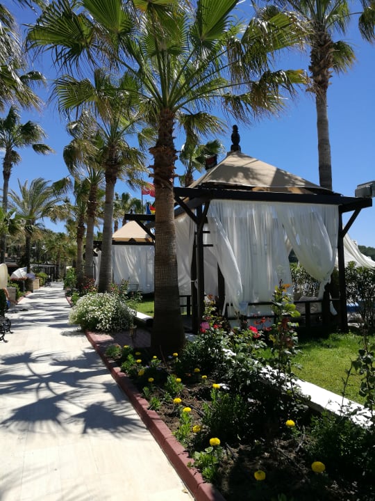 Gartenanlage Saphir Resort & Spa