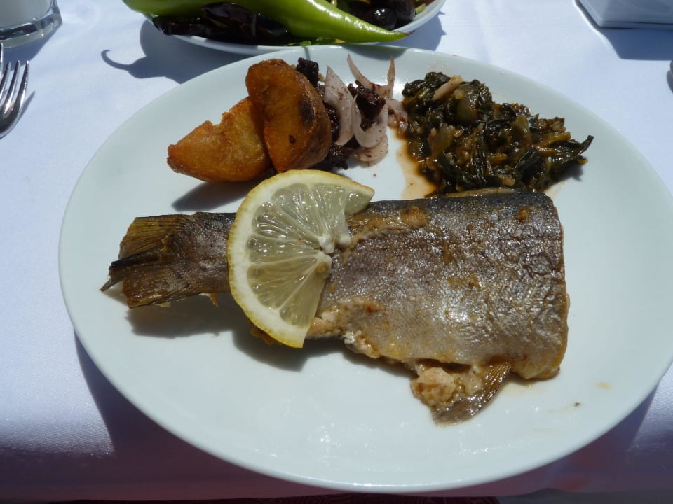 Buffet für jeden Geschmack Aska Hotel Just in Beach