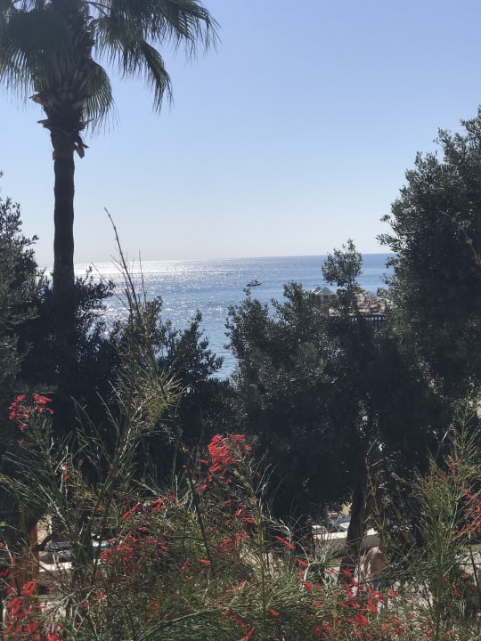 Ausblick Arum Barut Collection