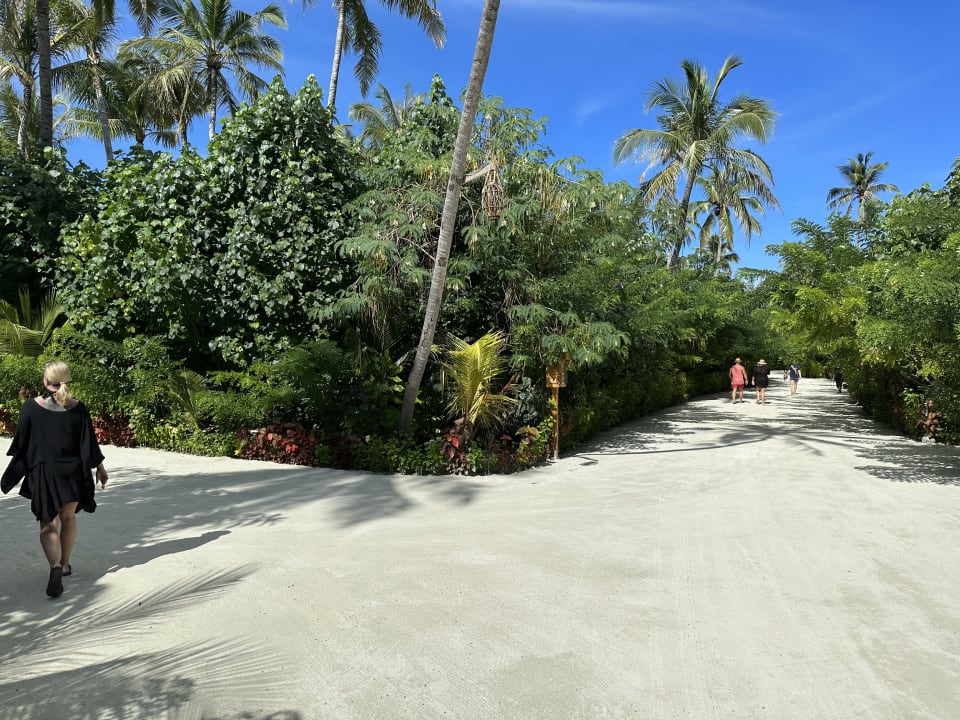 Gartenanlage TUI BLUE Olhuveli Romance