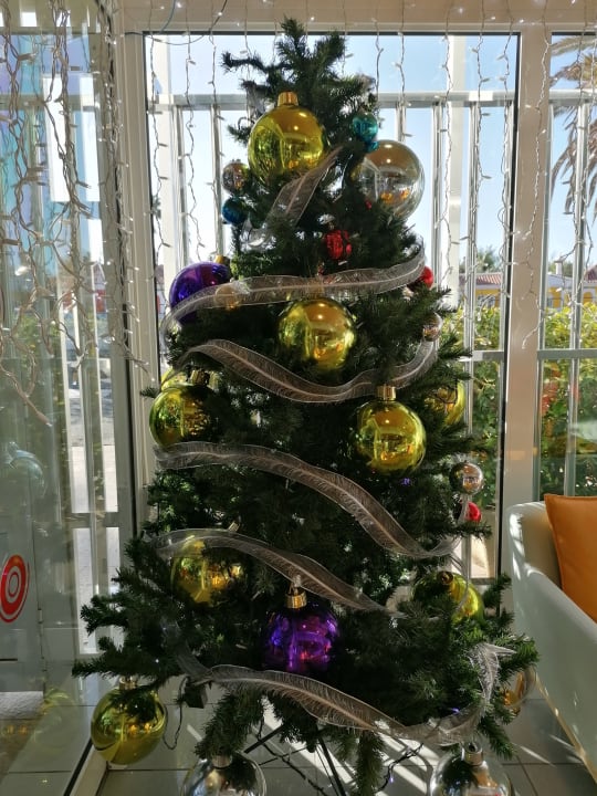 Lobby Bungalows Cordial Sandy Golf