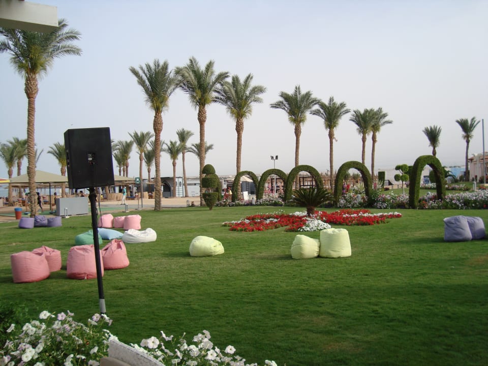 Gartenanlage Beach Albatros Resort