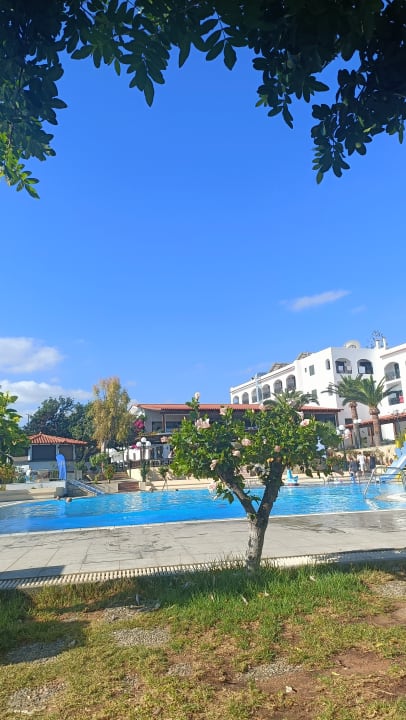 Pool TUI SUNEO Chrissi Amoudia