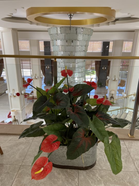 Sonstiges Hotel Royal Garden Beach