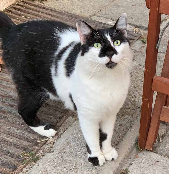 Gartenanlage Rodos Palladium Leisure & Wellness