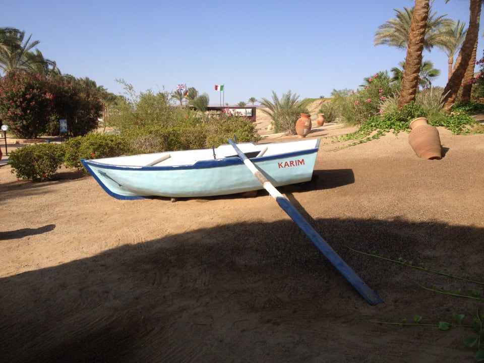 Garten mit Schiff Steigenberger Coraya Beach - Adults only