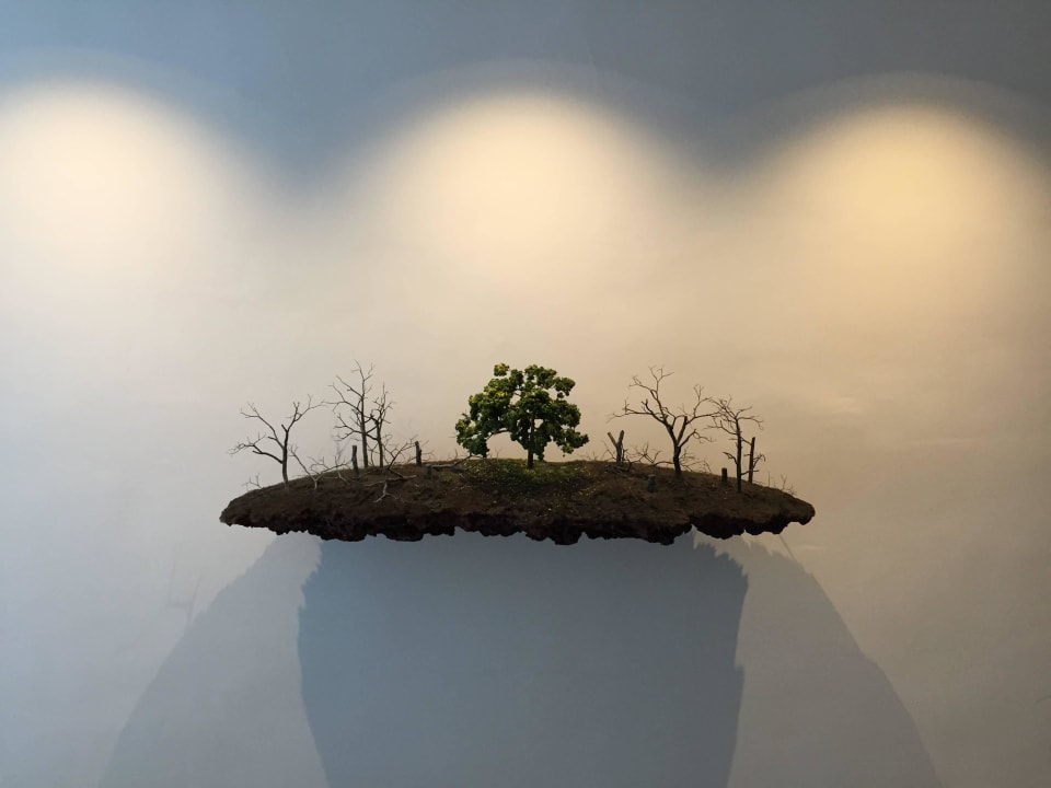 Einfach schön... HM Balanguera Beach