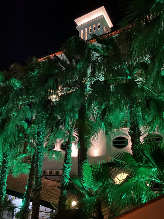 Zimmer Dizalya Palm Garden