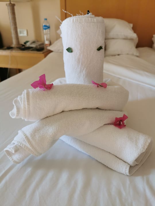Zimmer Hotel JAZ Makadi Star & Spa