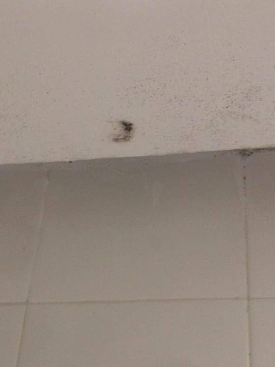 Zimmer Dunes D'or Ocean Club