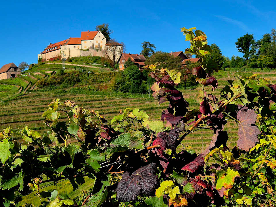 Sonstiges Hotel Ritter Durbach