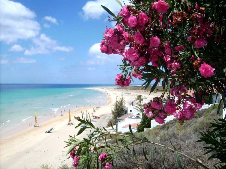 Aldiana Fuerteventura mit Strand von Jandia Aldiana Club Fuerteventura