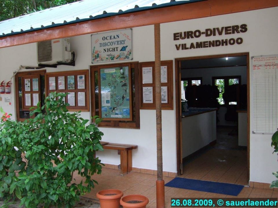 Tauchschule Vilamendhoo Island Resort & Spa