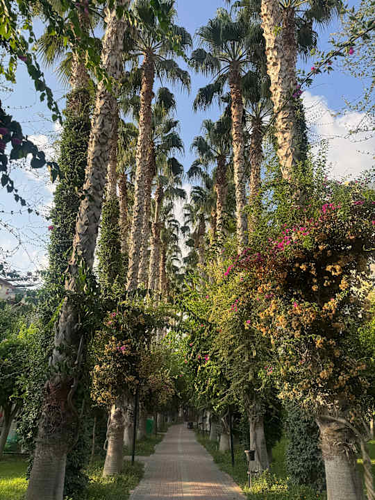 Strand Hotel Gardenia Beach