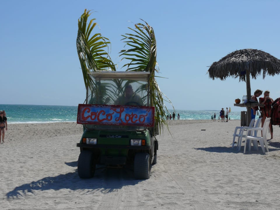 Coco Loco  Iberostar Origin Playa Alameda