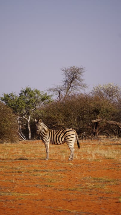 Sport & Freizeit Intu Afrika - Camelthorn Kalahari Lodge