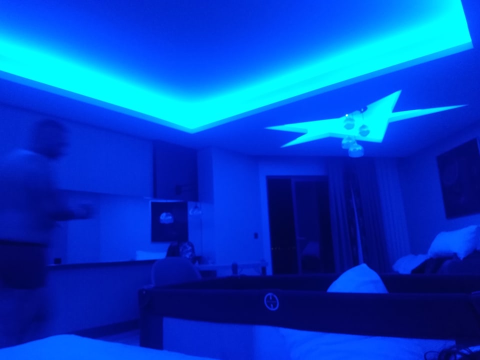 Zimmer Royal Seginus