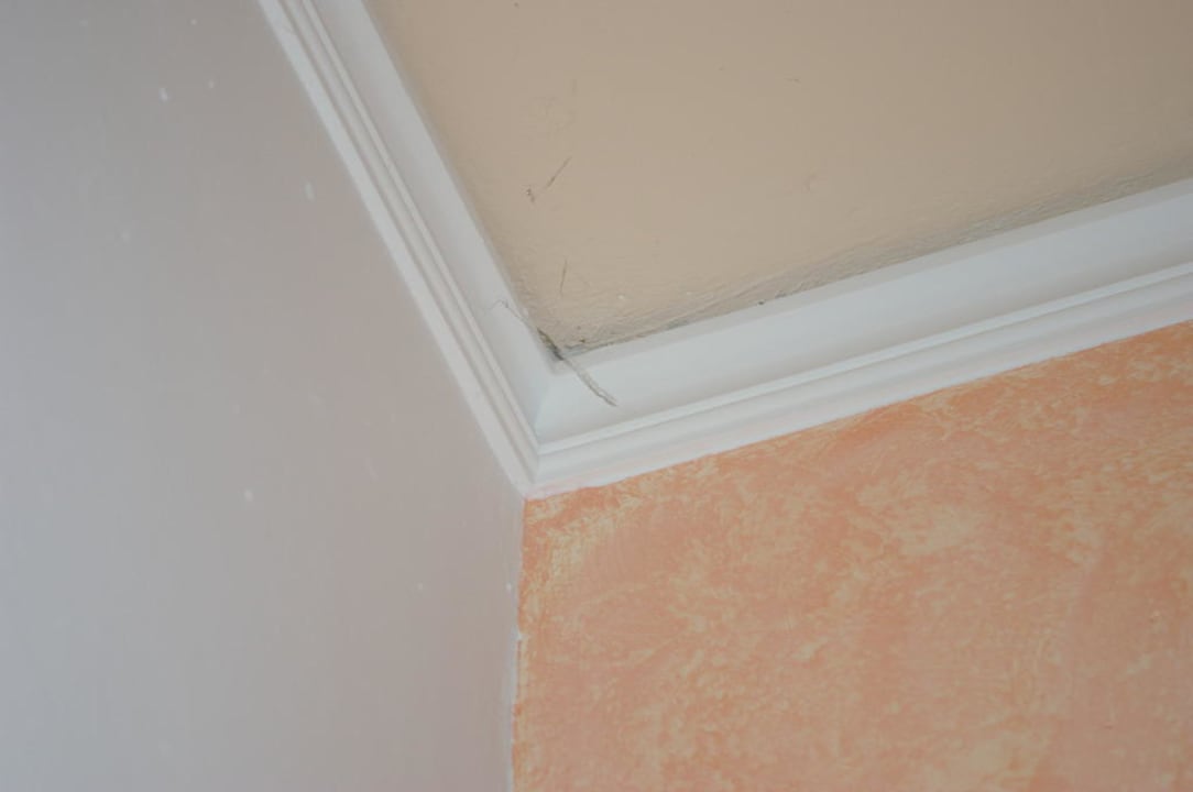 Toile d'araignée Olympia Sunclub Hotel