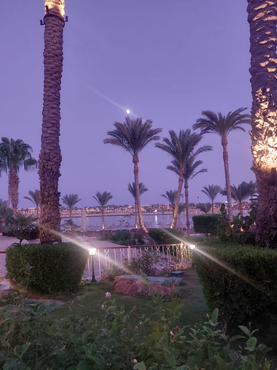 Gartenanlage Steigenberger Coraya Beach - Adults only