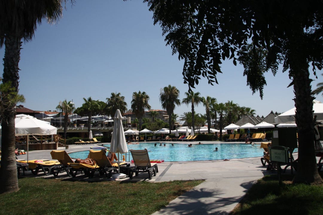 Relax-Pool Papillon Belvil