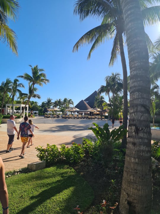 Gartenanlage Catalonia Playa Maroma