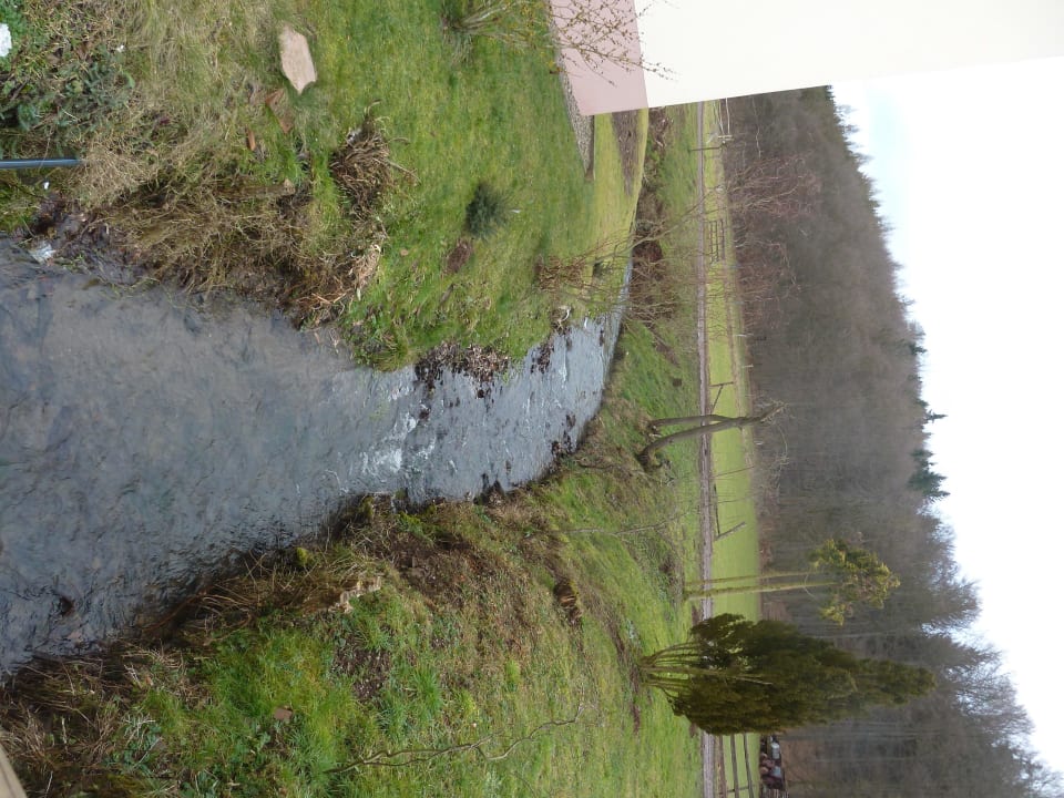 Kleiner Bach Ferienhotel Wolfsmühle in Rodishain